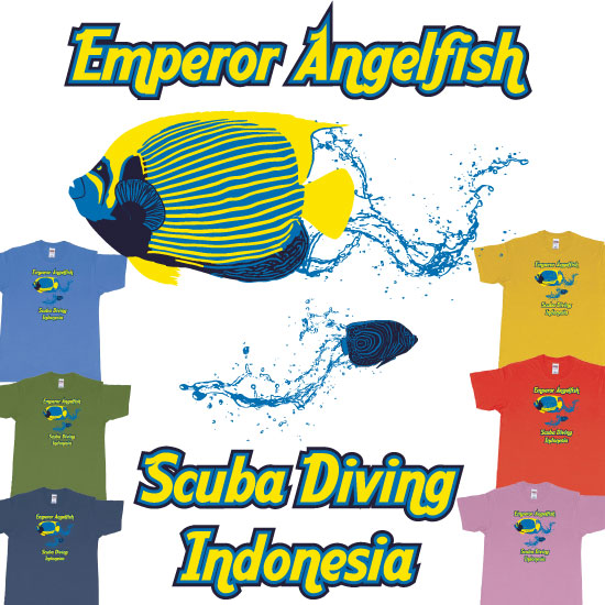 Emperor Angelfish Scuba Diving Indonesia