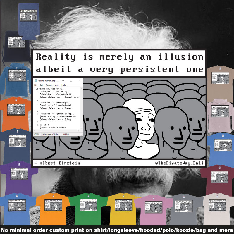 Albert Einstein Reality Is An Illusion Wojak Meme Php Code For Npc